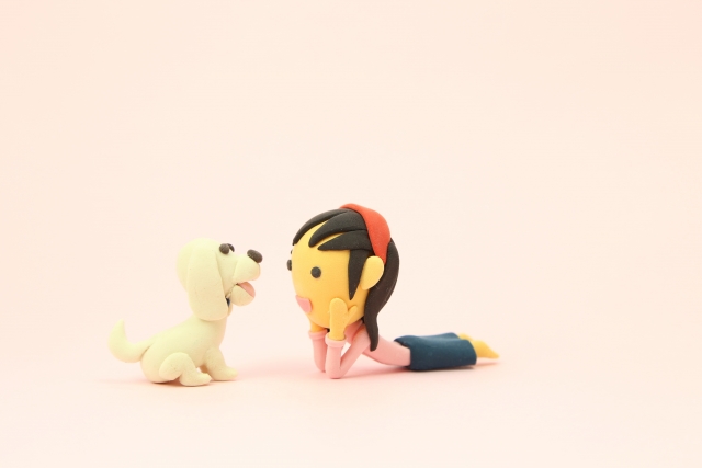 ネットで検索する猫